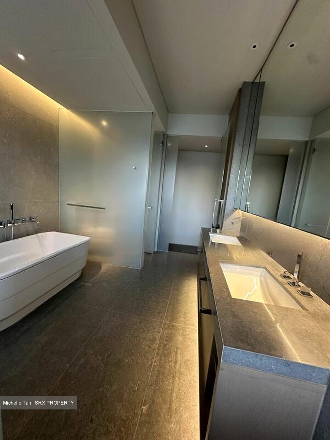 Hana (D10), Condominium #461434231